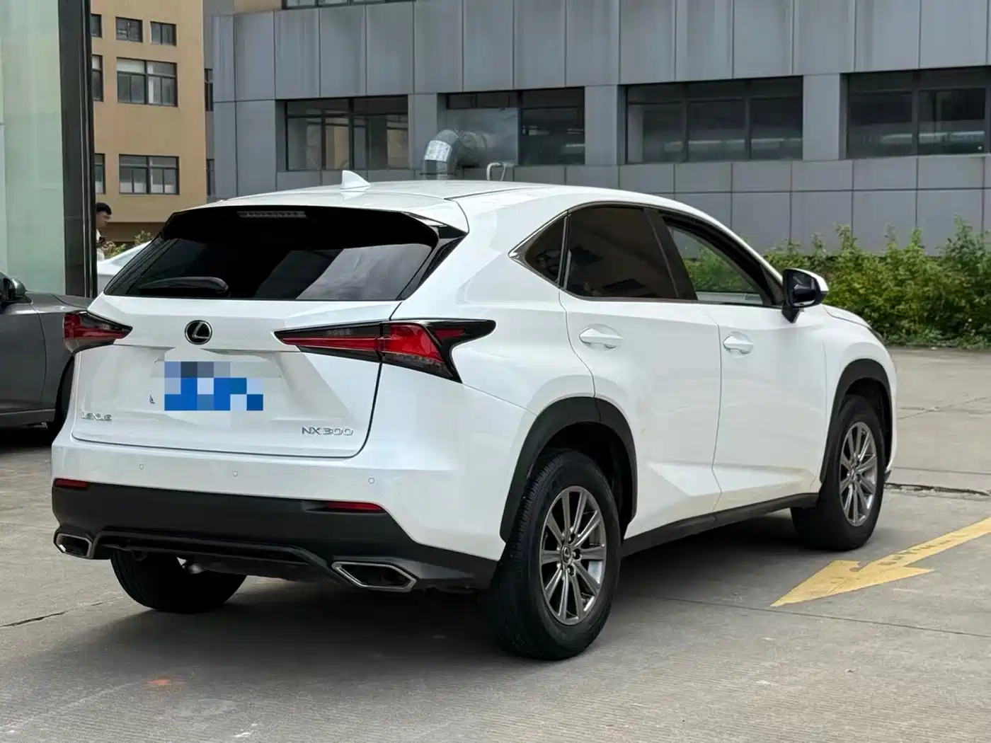 Lexus NX 2018 Model 300 FWD Fengxing Edition фото 9