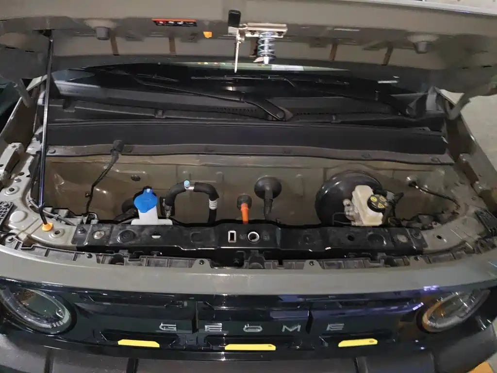 Фото 21 - Geely Galaxy Panda