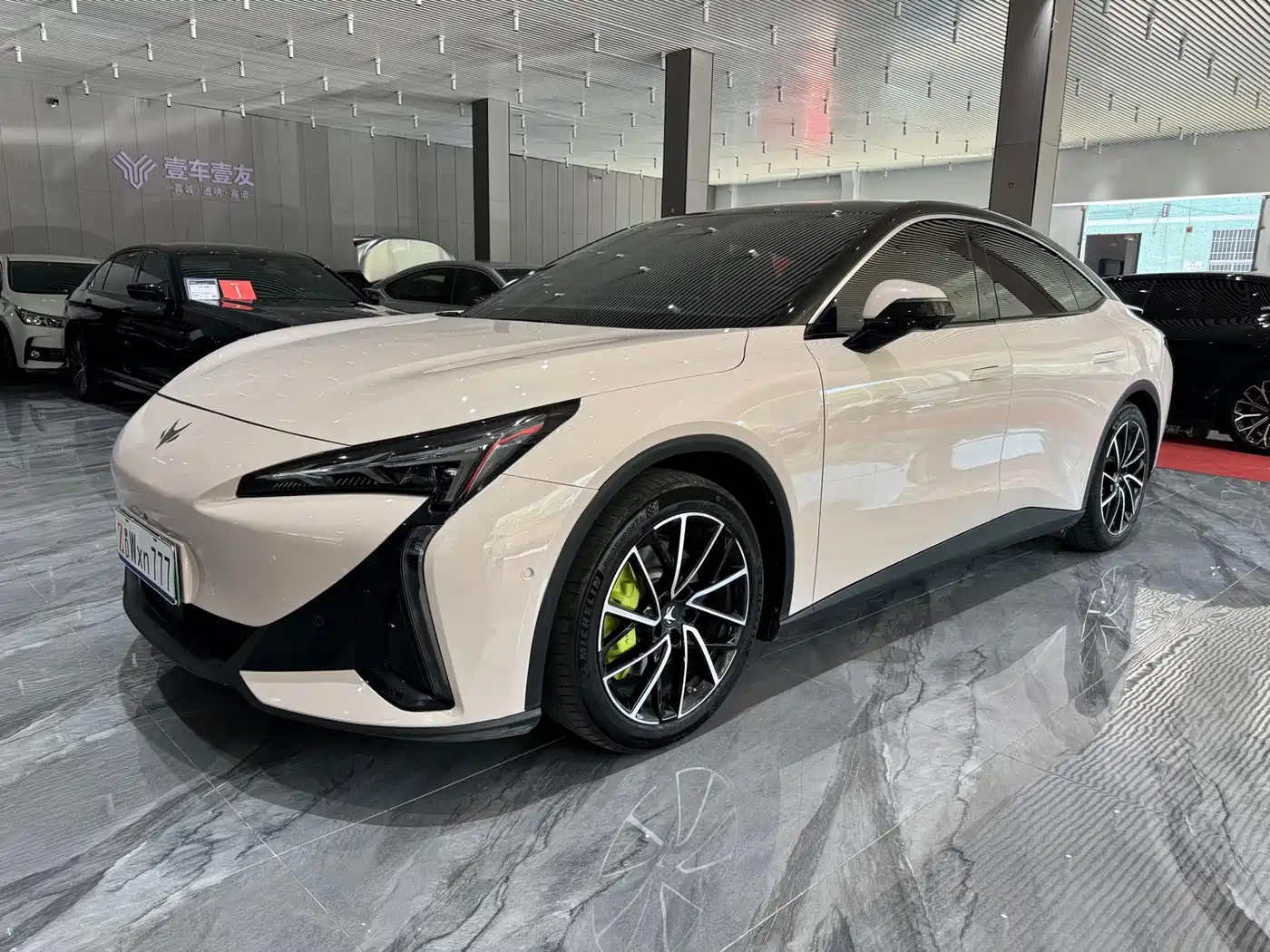 ARCFOX EXTREME FOX POLAR FOX ALPHA S5