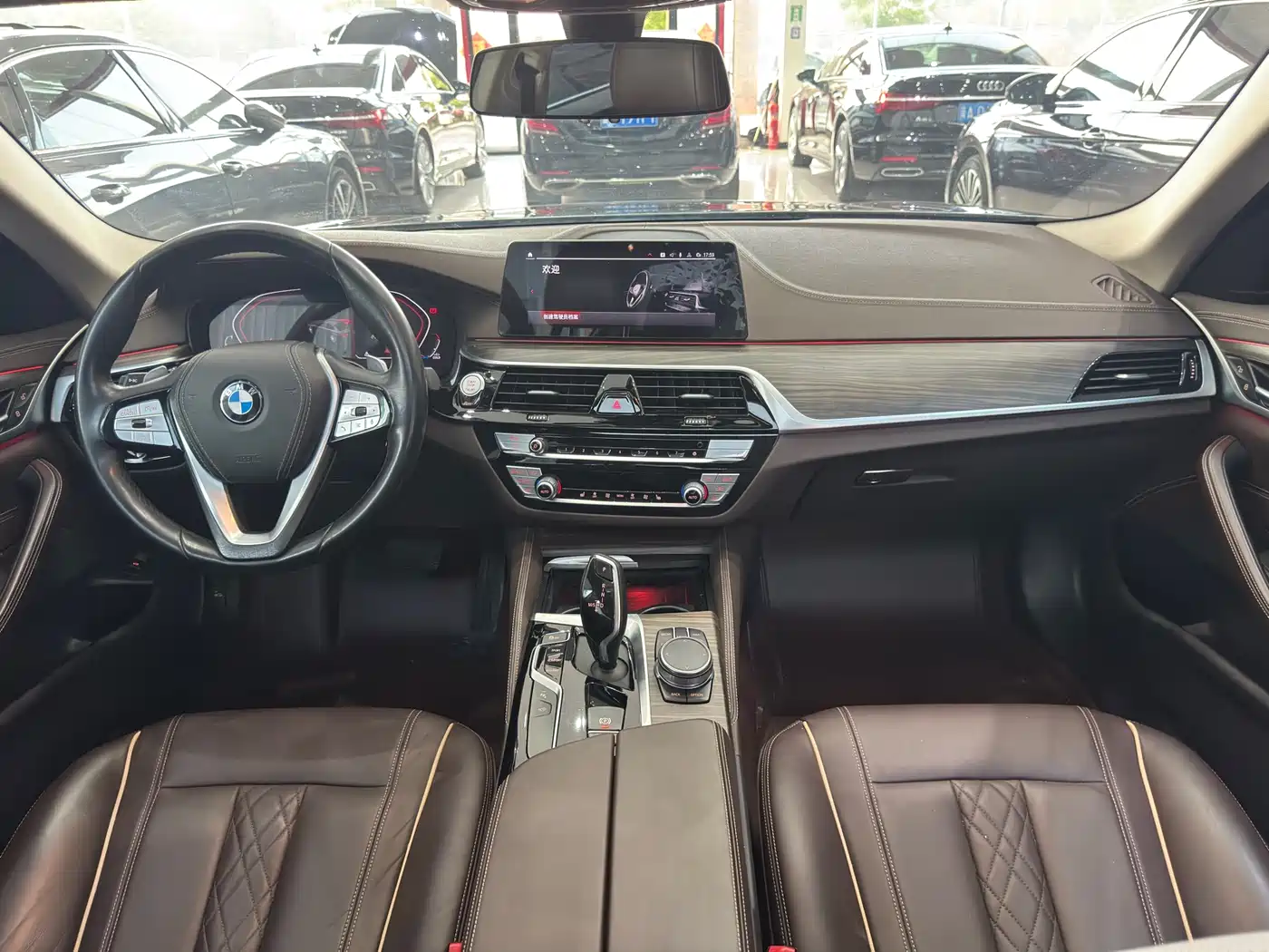 BMW 5 Series 2020 530Li Leading Luxury Package фото 12