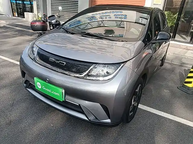 BYD Dolphin 405km, Стиль
