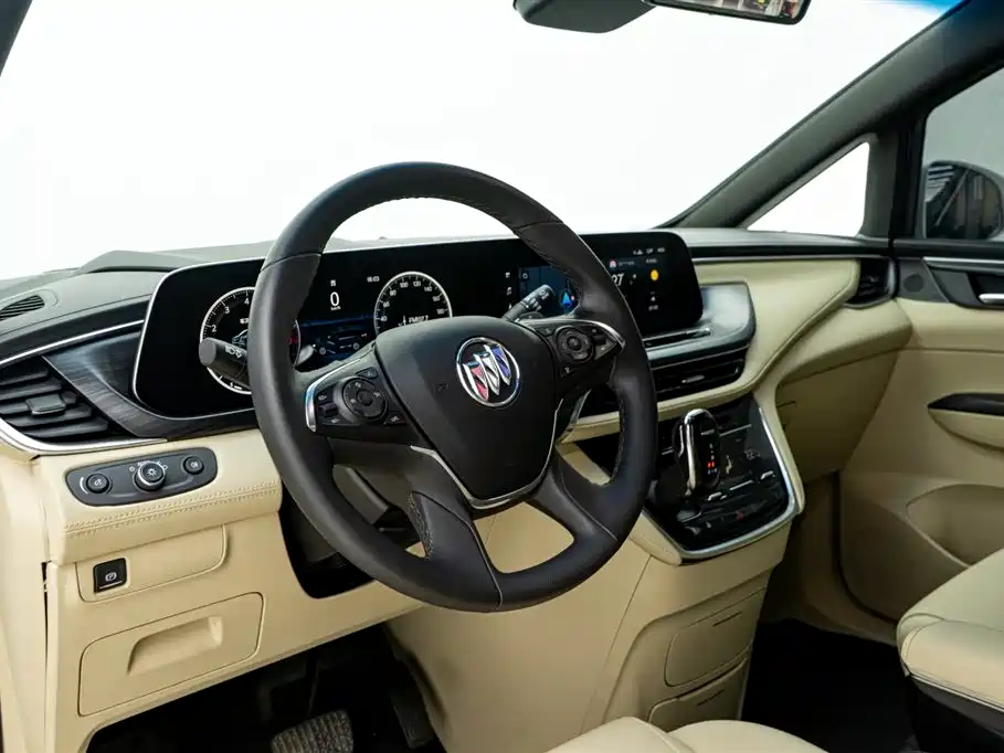 Buick GL8 2022 ES Landmark 653T Luxury фото 20