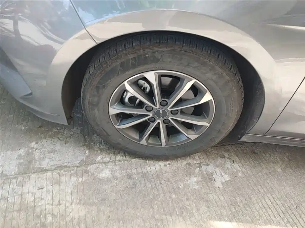 BYD Destroyer 05 2024 Glory Edition DM-i 55KM Luxury фото 23