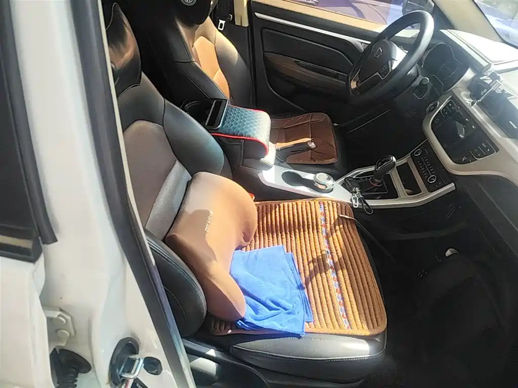Фото 25 - Geely Vision