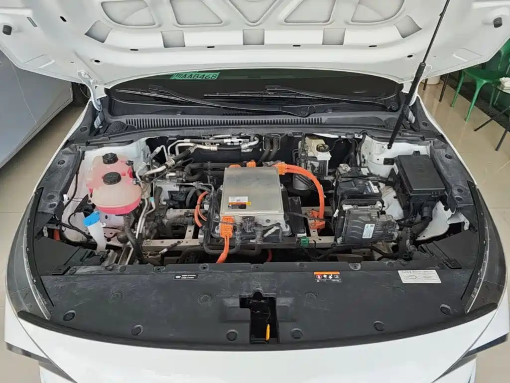 Geely Geometry G6 2024 2024 500KM Premium
