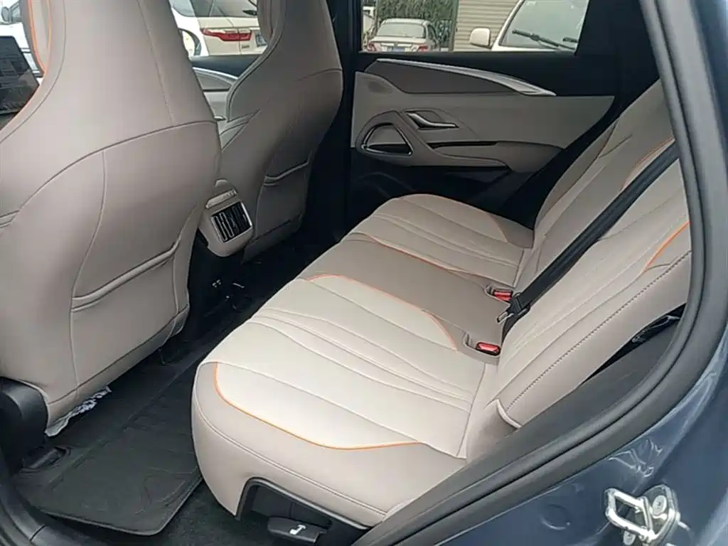 BYD Song Pro New Energy 2023 Champion Edition DM-i 110KM Excellence фото 17