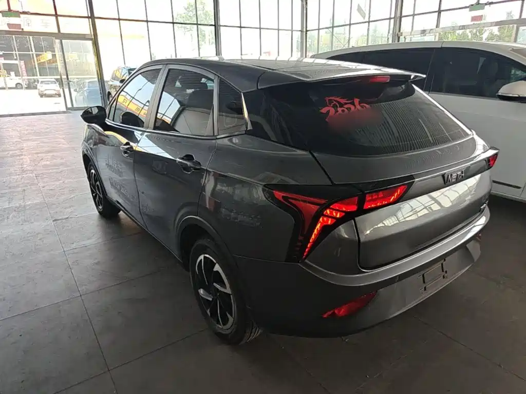 Nezha Auto Nezha V 2021 2022 Pro Long Range Smart Edition
