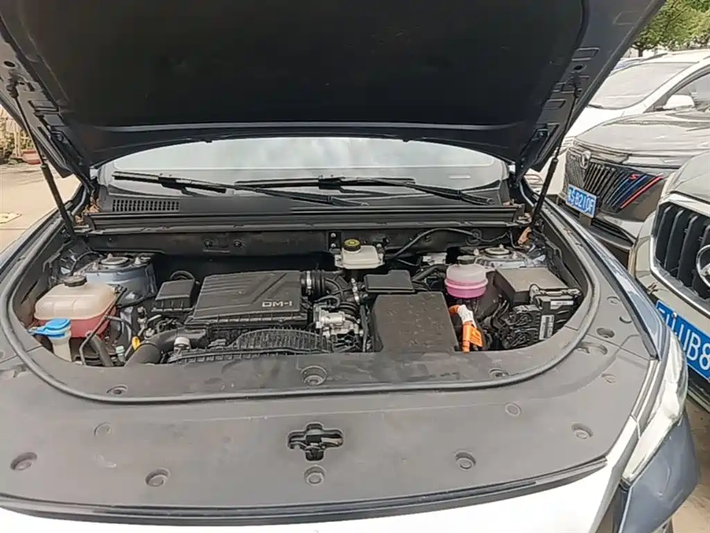 BYD Song Pro New Energy 2023 Champion Edition DM-i 110KM Excellence фото 20
