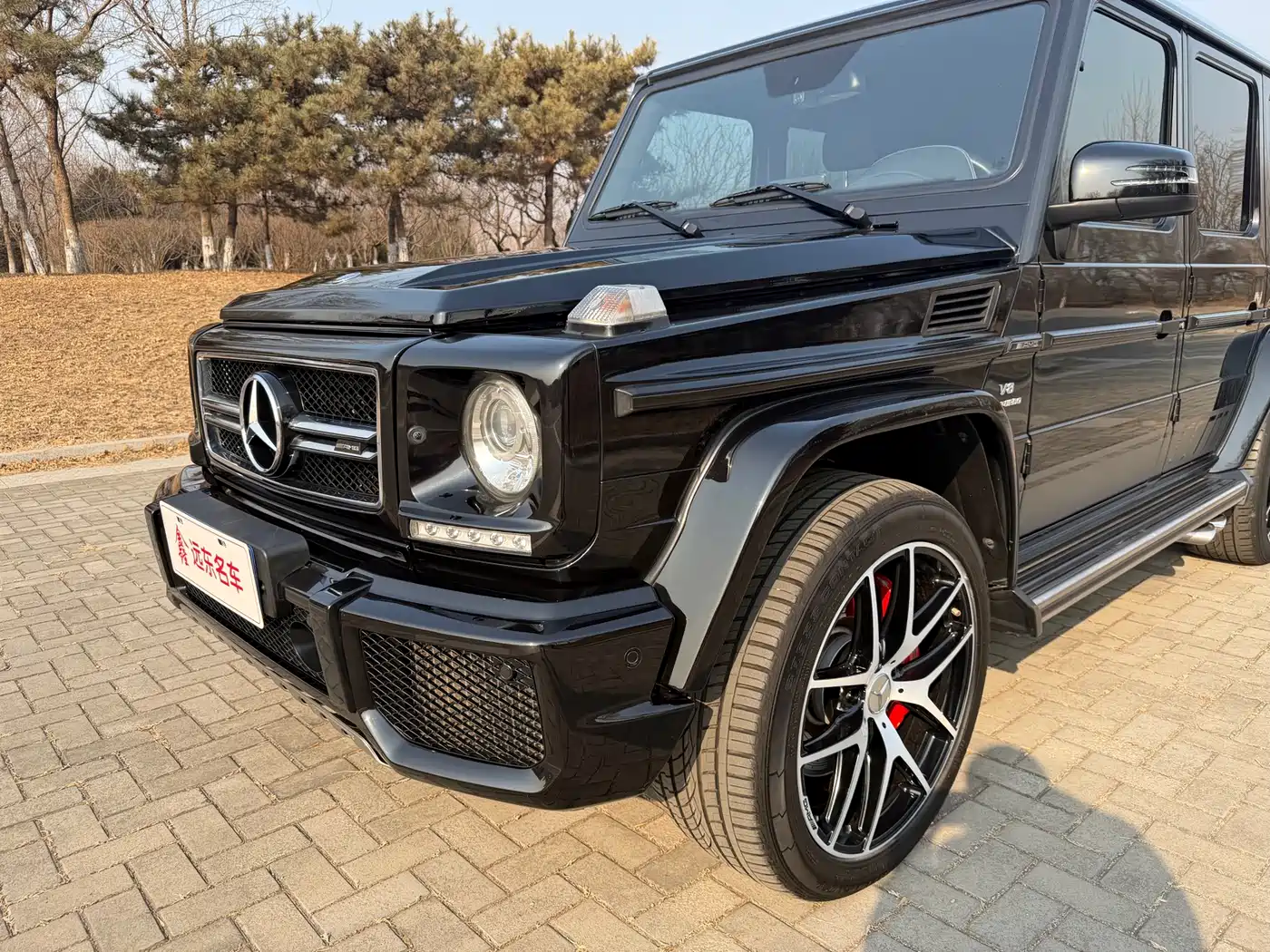 Mercedes-Benz G-Class AMG 2016 Model AMG G 63 Edition 463 фото 3