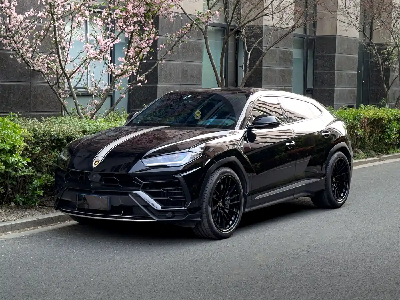 Lamborghini Urus 2018 4.0T V8