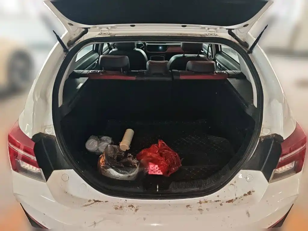 Photo 15 - Geely Vision S1