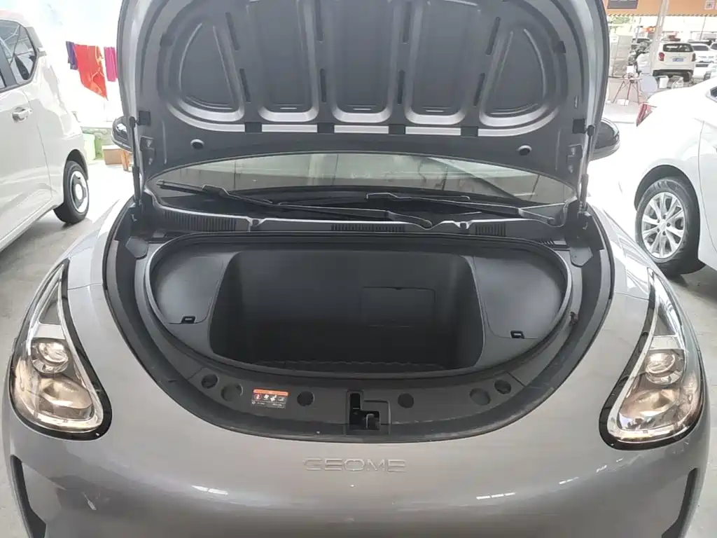 Geely Galaxy Starry Wish 2026 2026 Edition 310km Youth Version