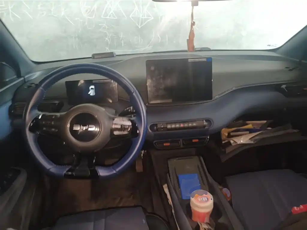 BYD Seagull 2023 Freedom Edition фото 10