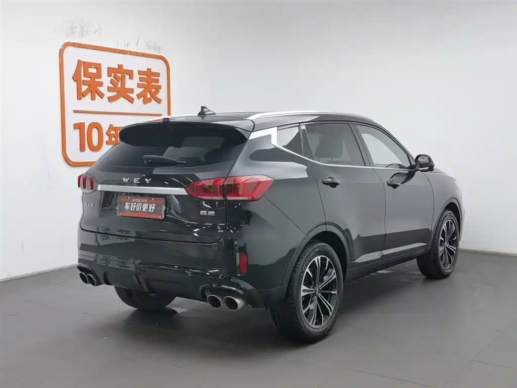 WEI PAI WEI BRAND VV6