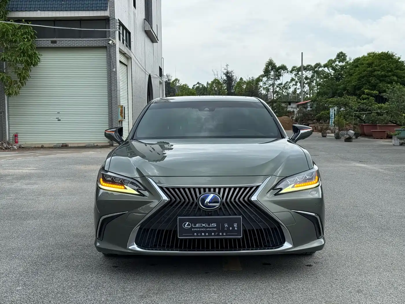 Lexus ES 2018 300h Executive Edition China V фото 2