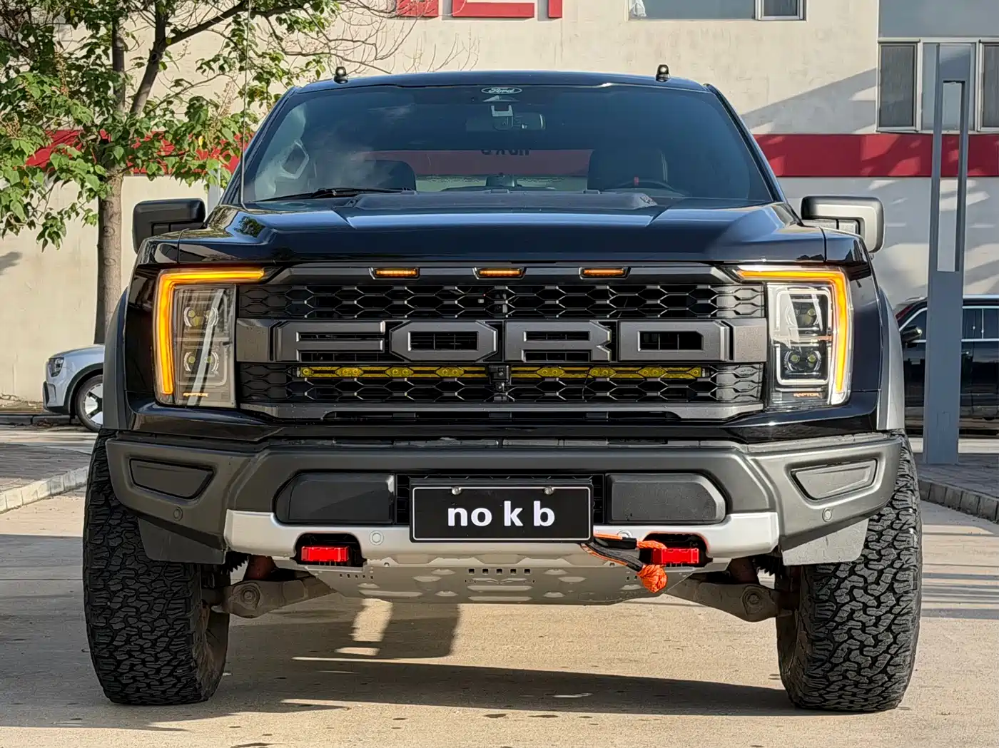 FORD F-150 RAPTOR