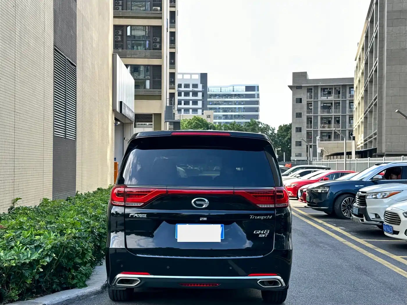 GAC Trumpchi Trumpchi M8 2018 320T Exclusive Edition фото 13