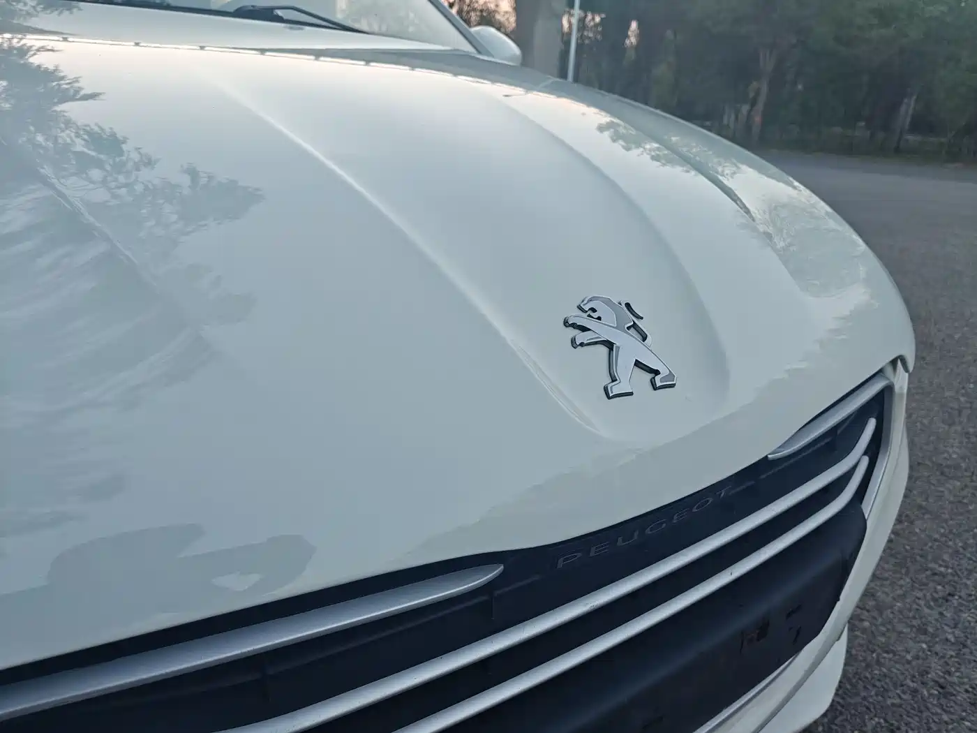 Peugeot 301 2016 1.6L Auto Comfort Edition фото 13