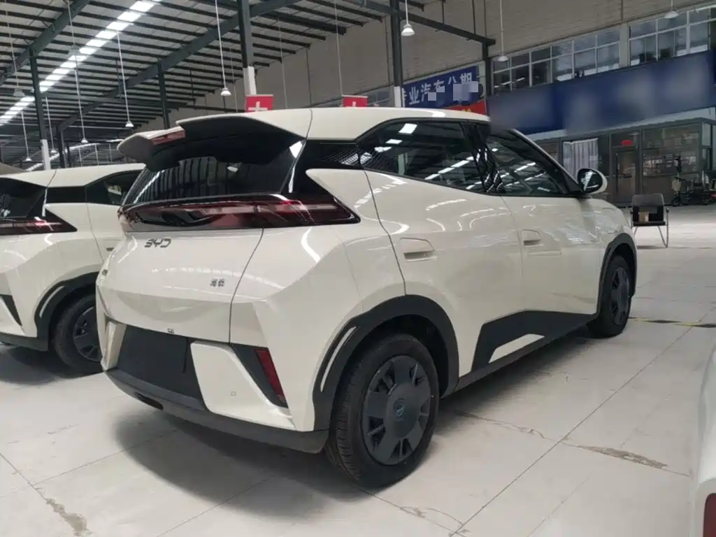 BYD Seagull 2026 2025 Smart Drive Edition 305km Vitality Version