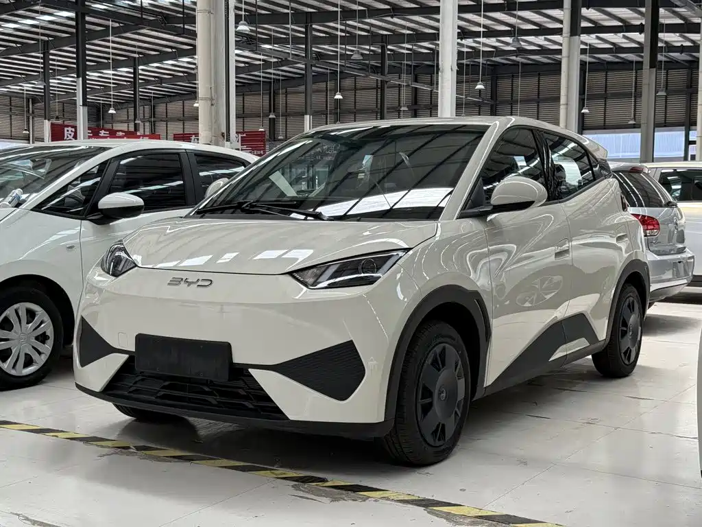 BYD Seagull 2026 2025 Smart Drive Edition 305km Vitality Version
