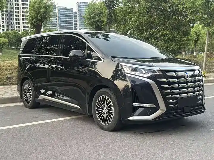 Denza D9 2022 DM-i 970 All-Wheel Drive Honor Edition фото 3