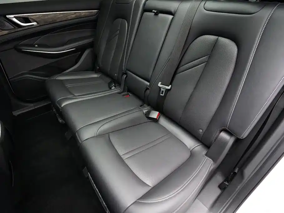 Landian E5 2024 2024 Glory Edition 100KM Ultimate Type 7-Seater