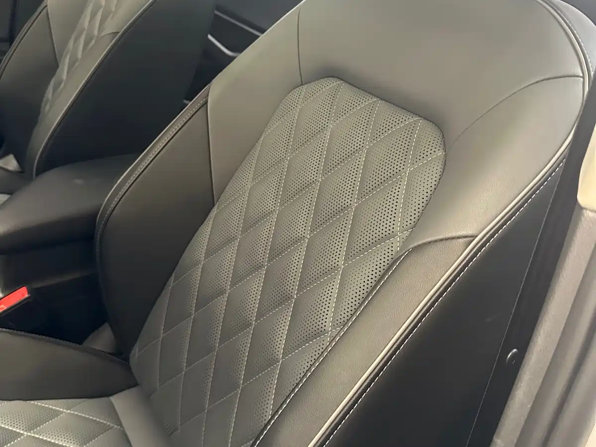 Volkswagen Sagitar 2024 300TSI DSG Surpass Edition фото 13