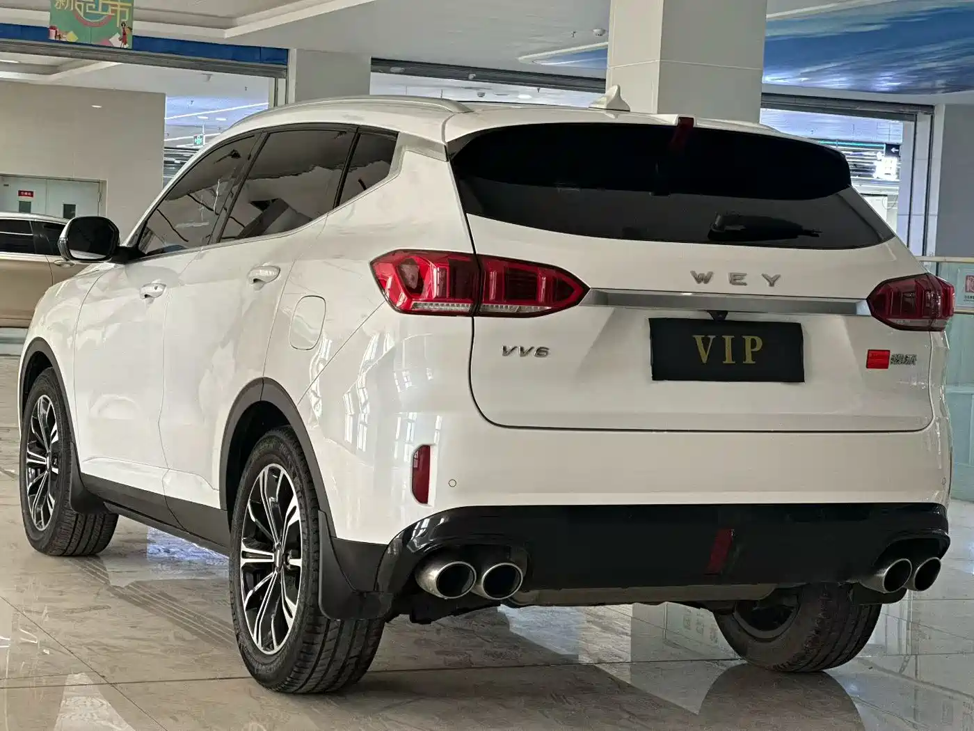 WEI PAI WEI BRAND VV6