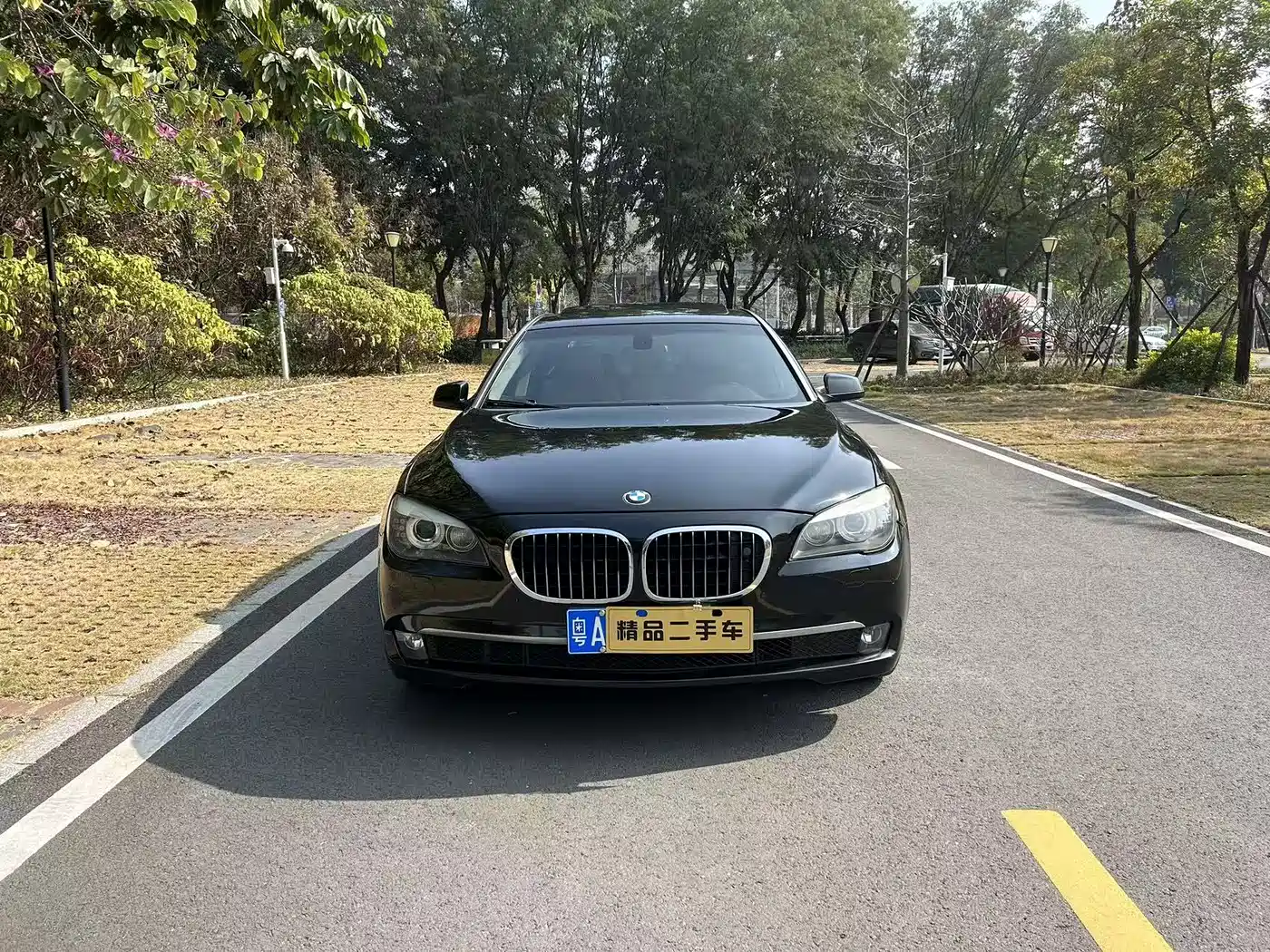 BMW 7 Series 2009 740Li Luxury фото 2
