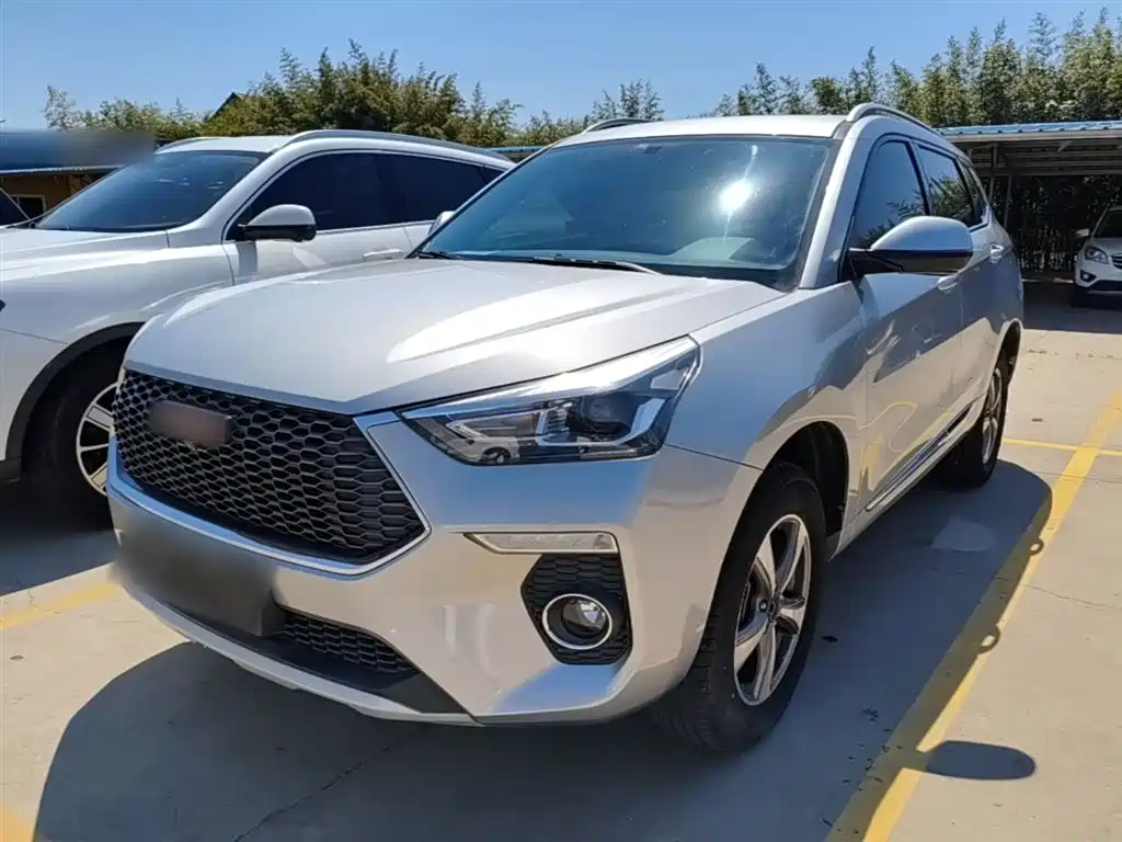 Haval H6 Coupe 2018 Red Label 1.5T Auto 2WD Luxury Edition фото 2