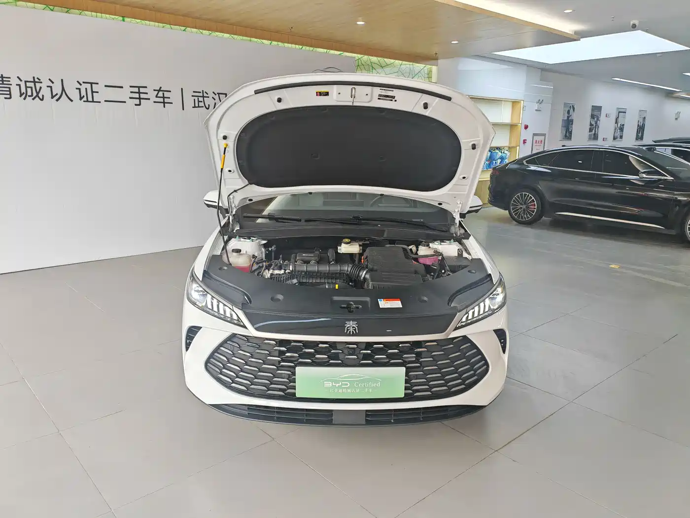 BYD Qin PLUS 2025 DM-i Smart Drive Edition 120KM Surpassing Type фото 5