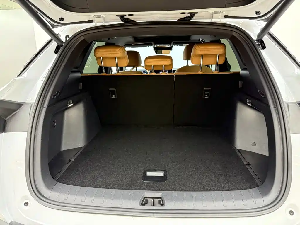 BYD Song L DM-i 2025 2024 112km Superior