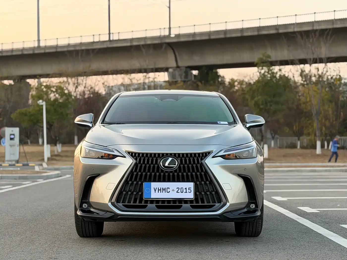 Lexus NX 2022 260 FWD Joy Creation Edition фото 3