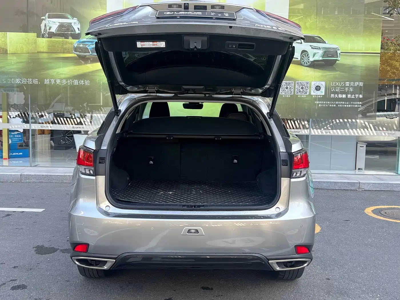 Lexus RX 2021 300 AWD Special Edition фото 9