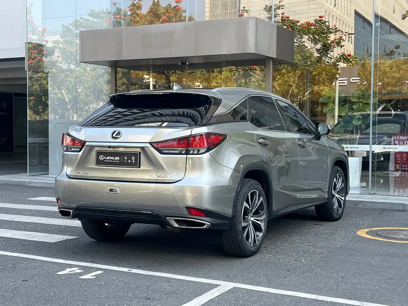 Lexus RX 2021 300 AWD Special Edition фото 11