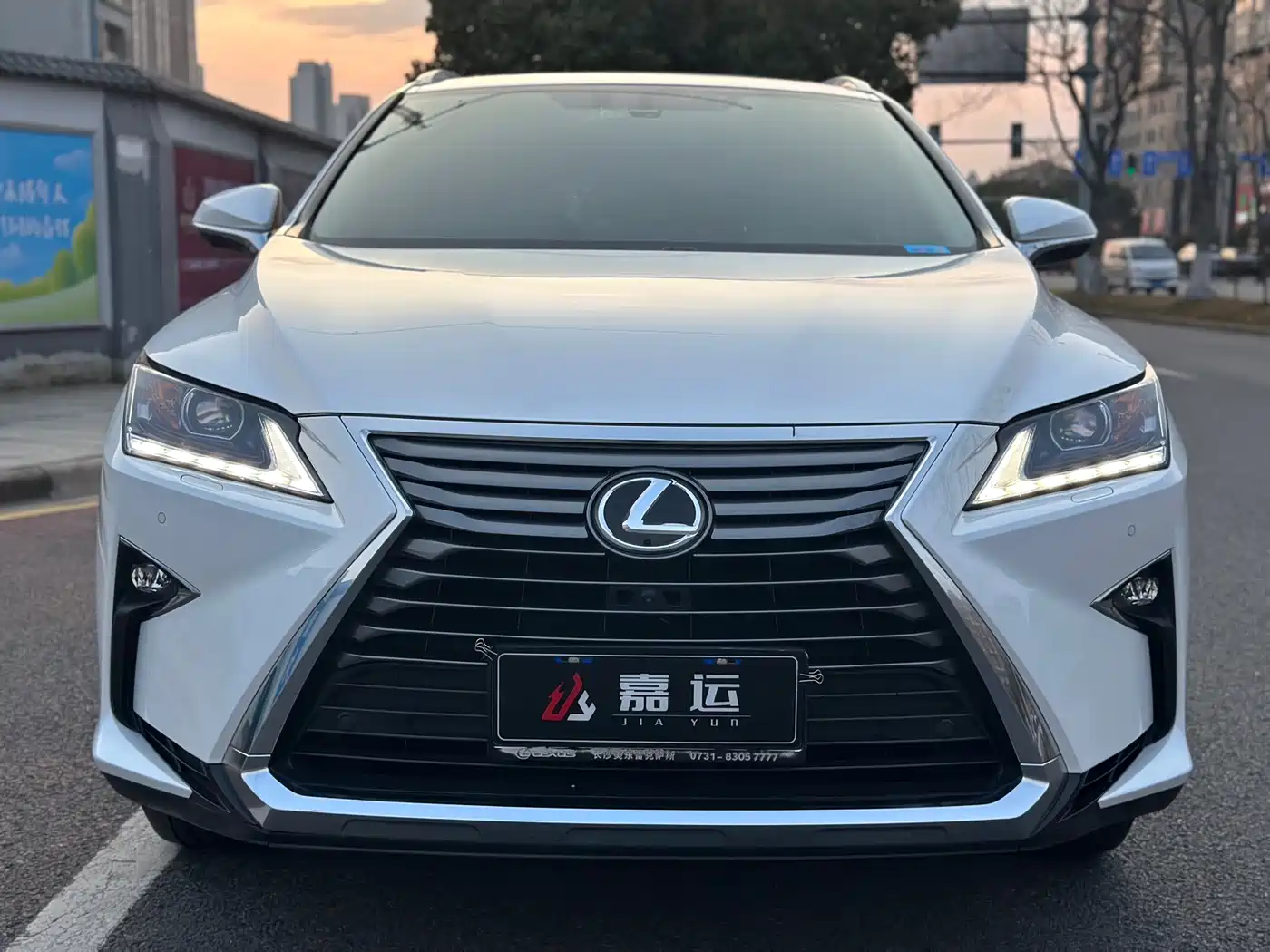 Lexus RX 2016 300 2WD Comfort Edition China V фото 2
