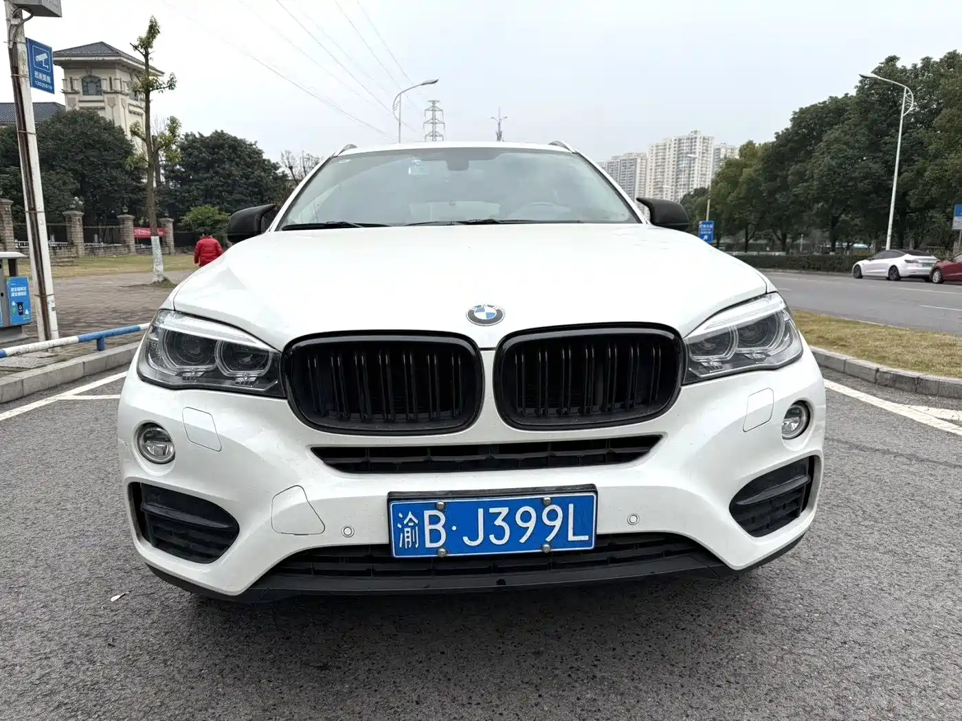 BMW X6 2015 xDrive35i Luxury Model фото 2