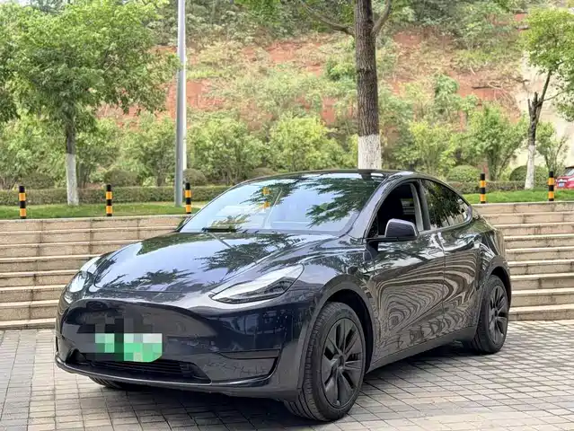 Tesla Model Y 2023 Rear-Wheel Drive Edition
