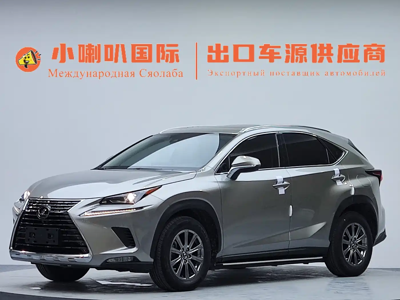 Lexus NX 2020 200 AWD F Sport China V
