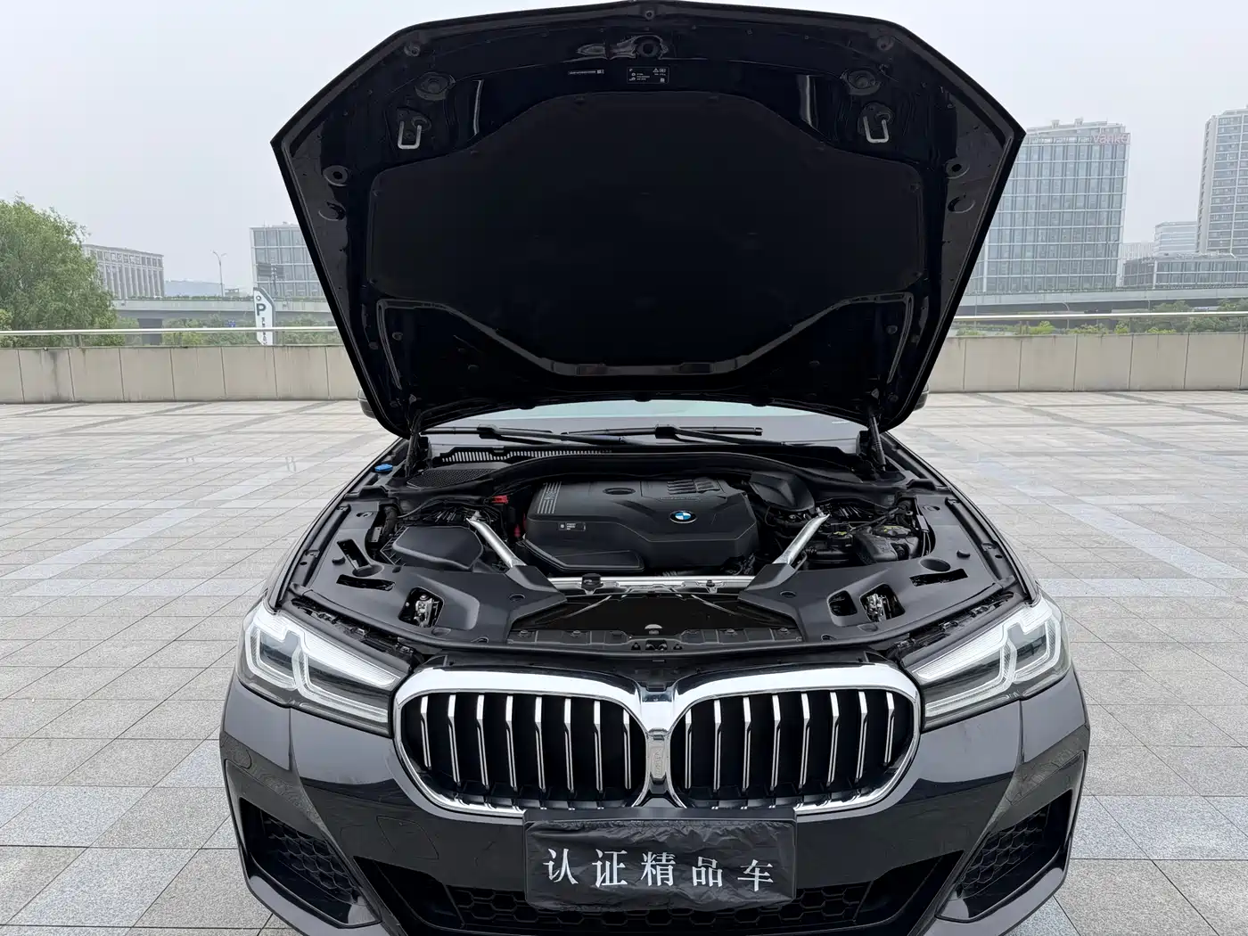 BMW 5 Series 2021 530Li xDrive M Sport Package фото 25