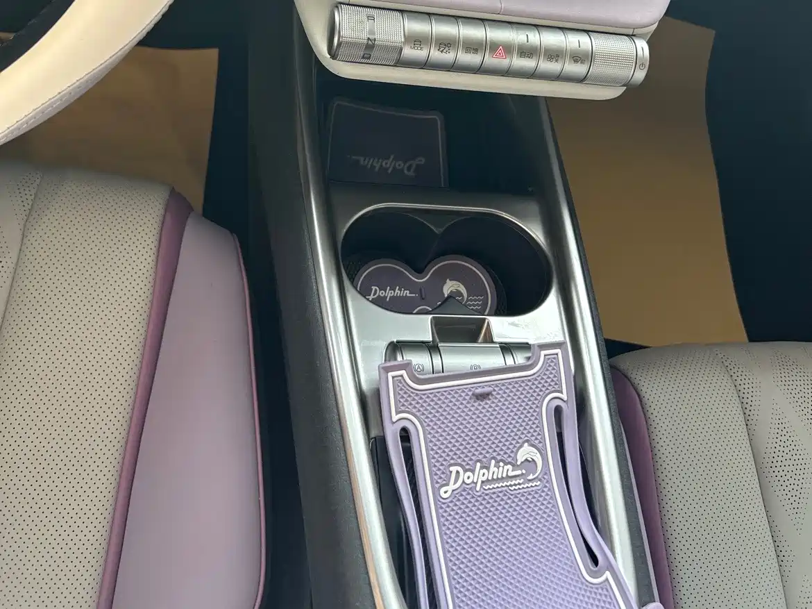 BYD Dolphin 2023 420km Fashion Edition фото 7