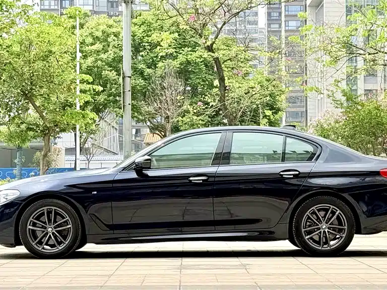 BMW 5 Series (Import) 2018 525i M Sport Package фото 6