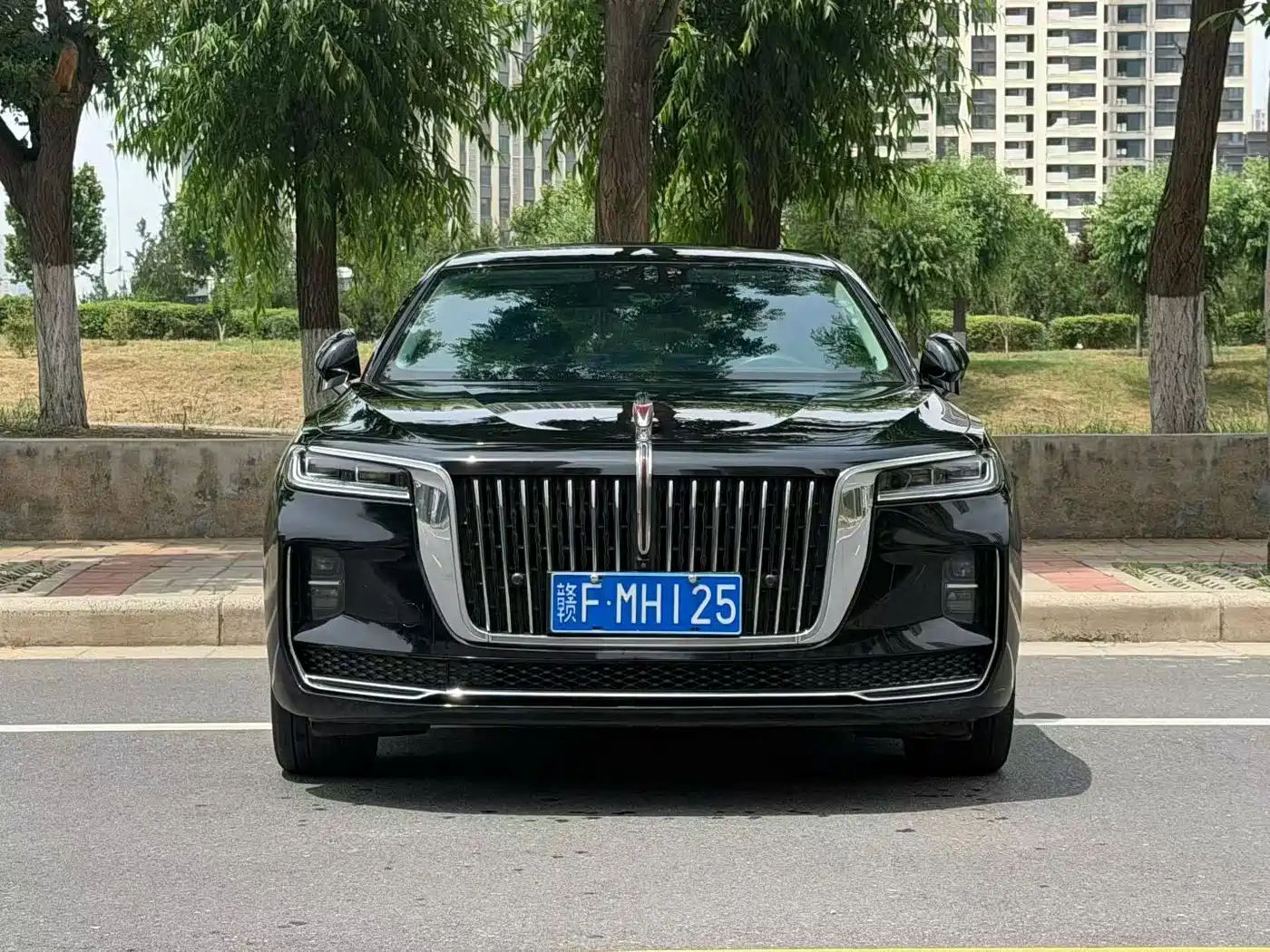 Hongqi H9 2020 2.0T Smart Connection Qi Xiang Edition фото 2
