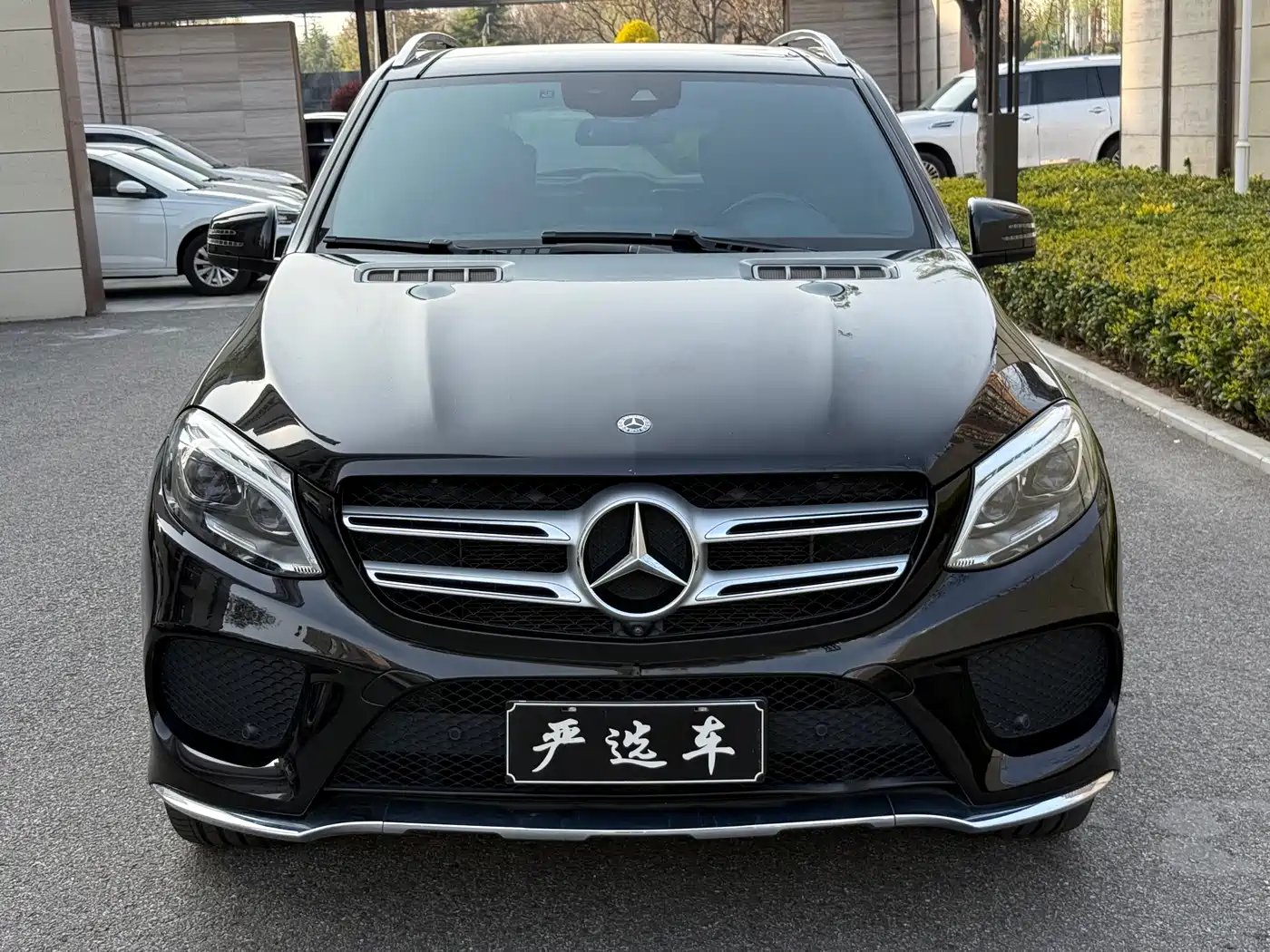 Mercedes-Benz GLE 2018 GLE 320 4MATIC Dynamic Ultimate Edition фото 2