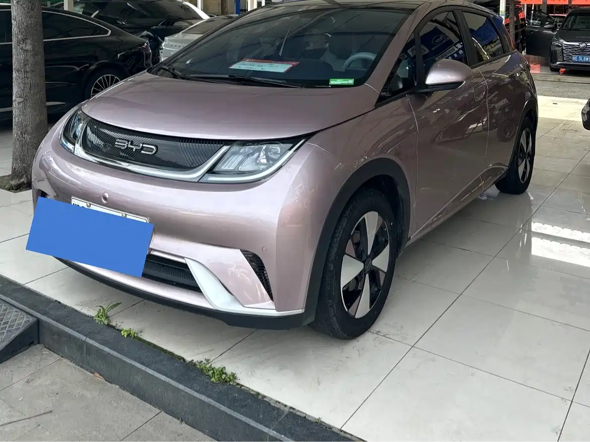 BYD Dolphin 2023 420km Fashion Edition фото 3
