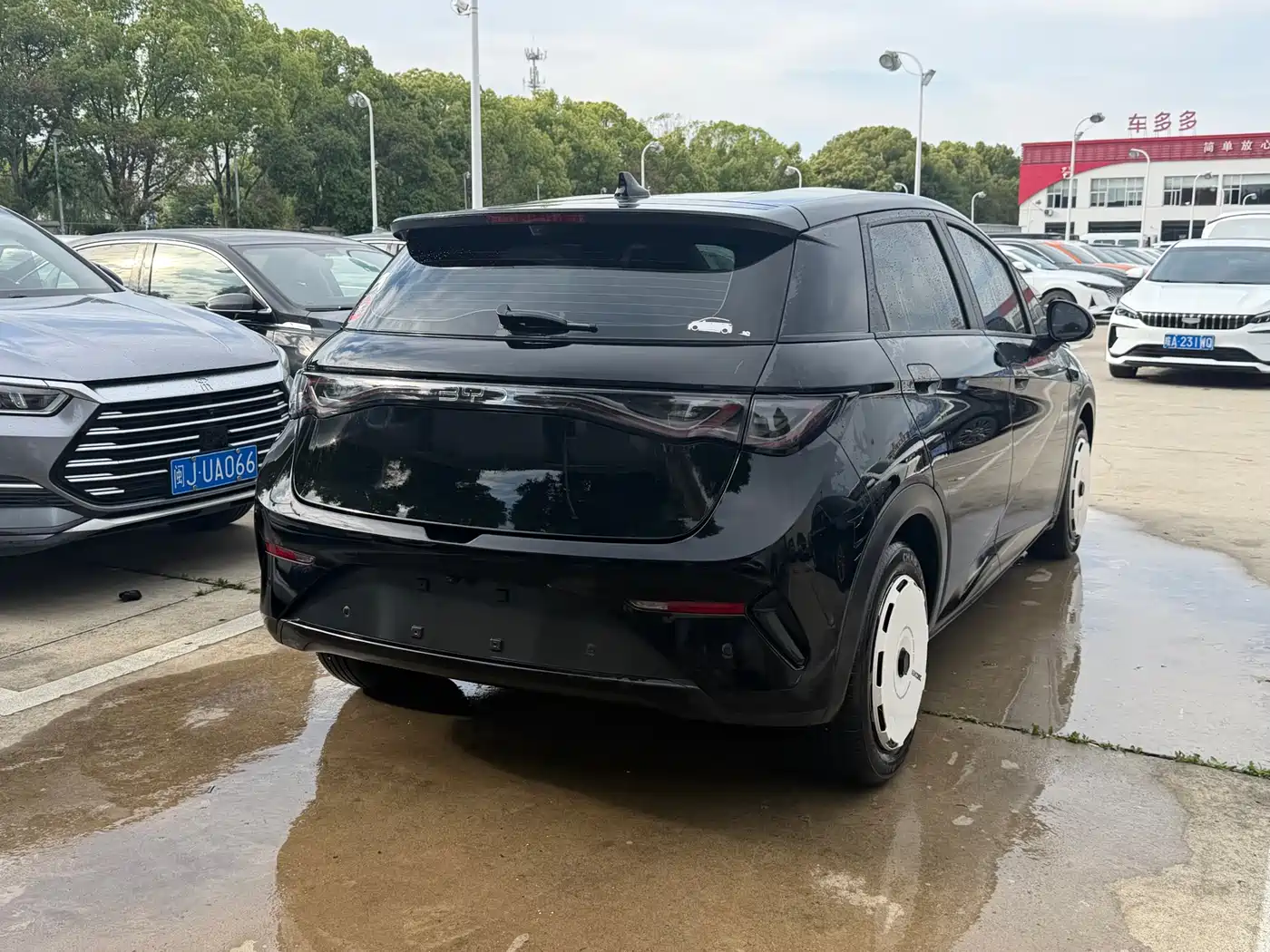 BYD Dolphin 2025 420km Freedom Edition фото 11