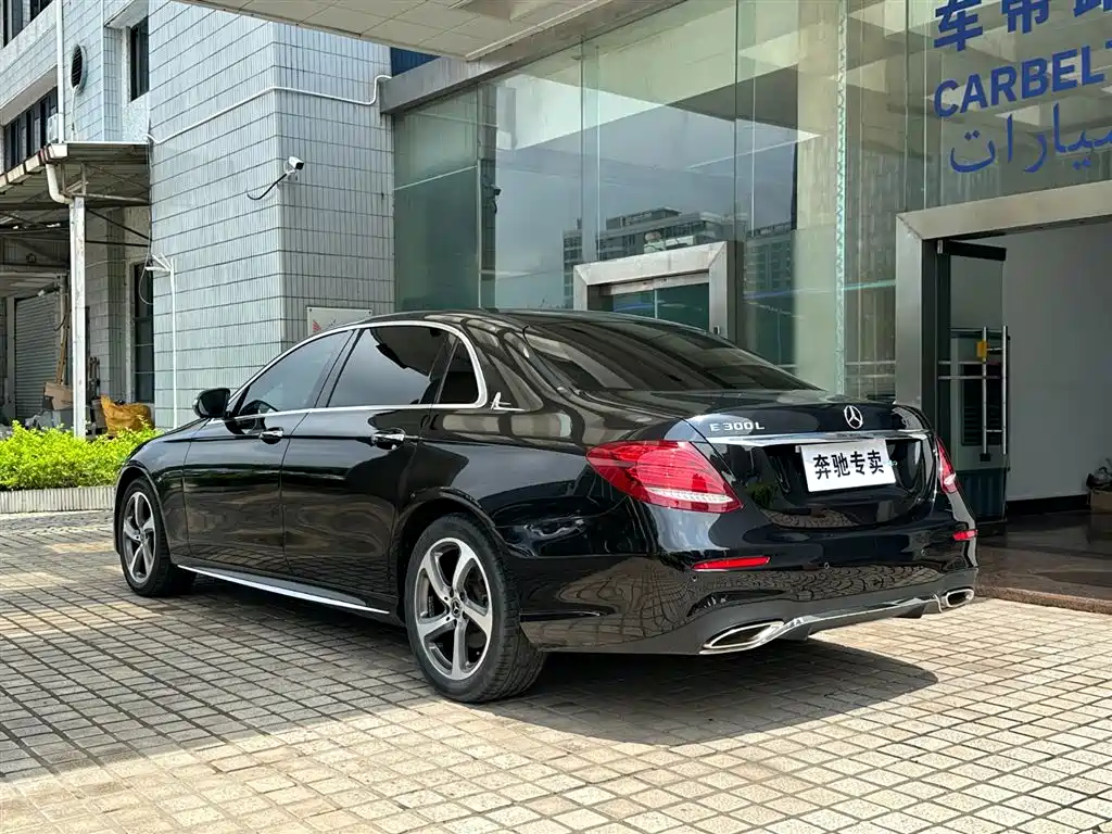 Mercedes-Benz E-Class 2019 E 300 L Sport Luxury фото 5