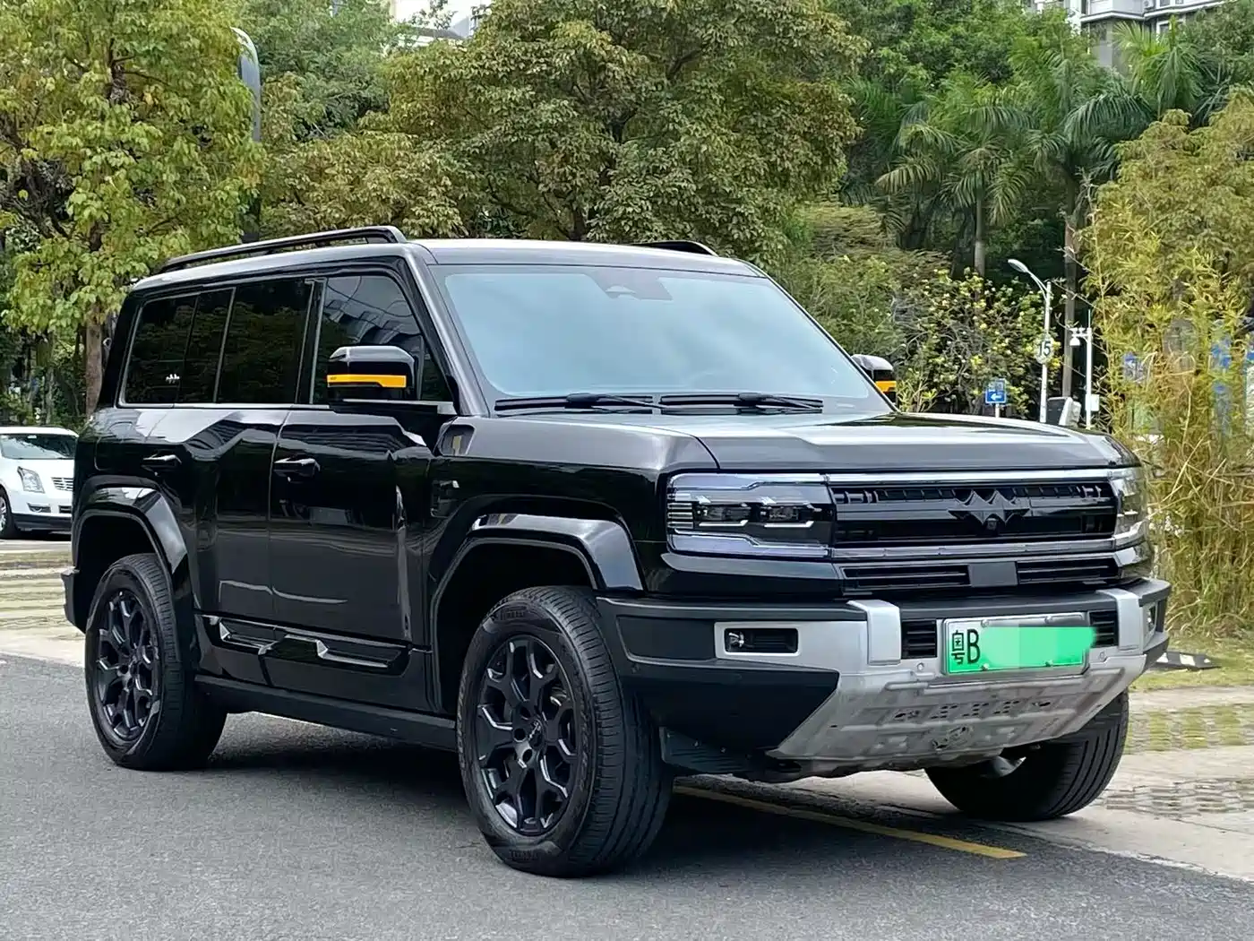 FANG CHENG BAO LEOPARD 5