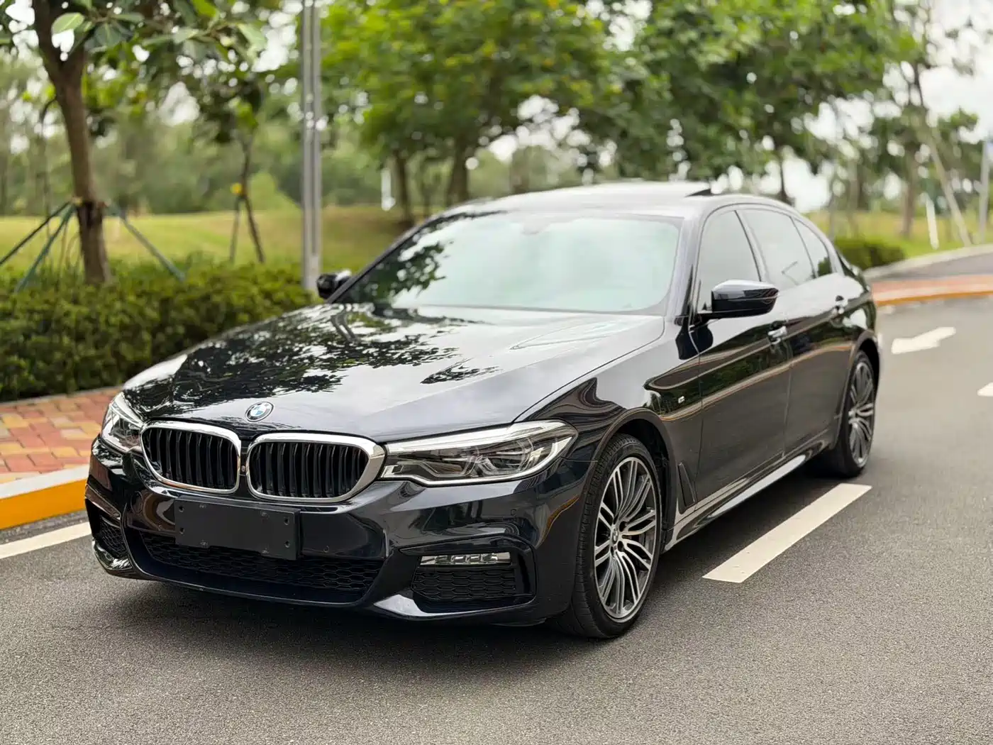 BMW 5 Series 2018 530Li Premium M Sport Package