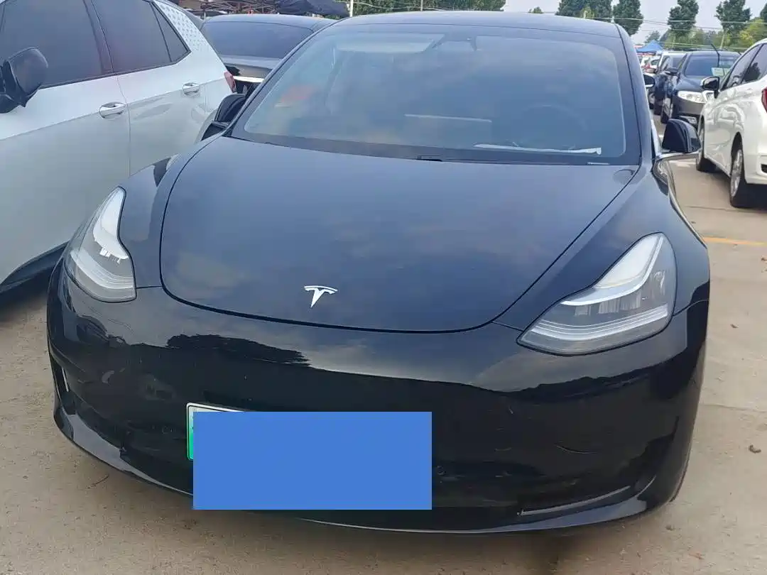 Tesla Model 3 2021 Facelift Standard Range RWD Upgrade 3D1